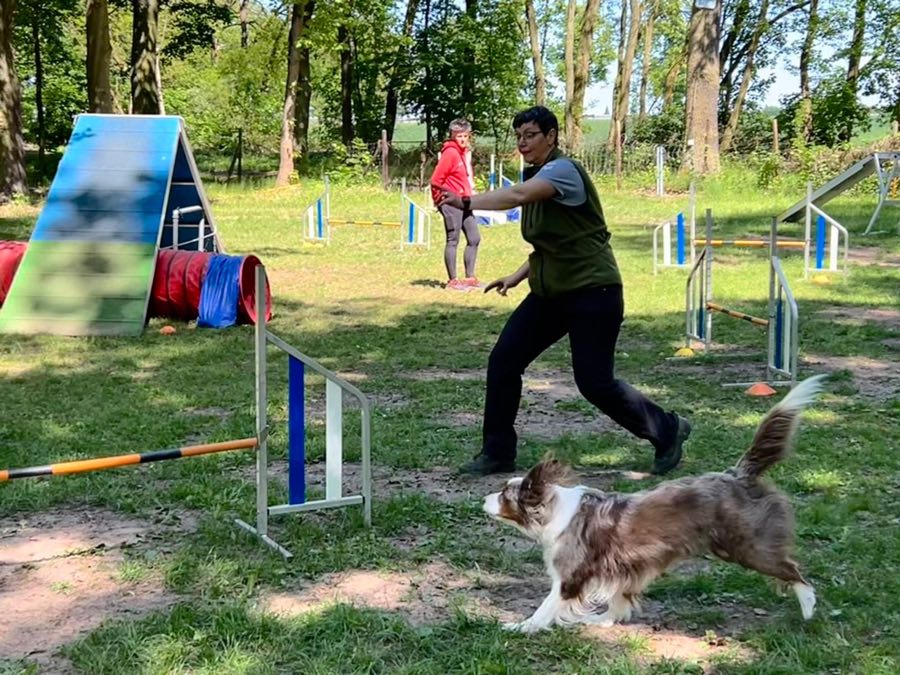 Agility Training 6