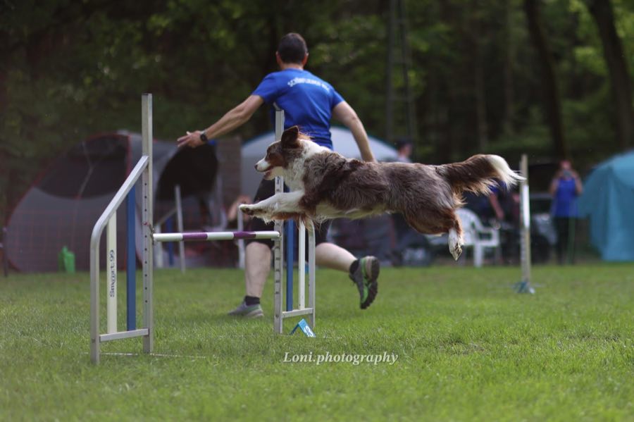 Agility Training 7