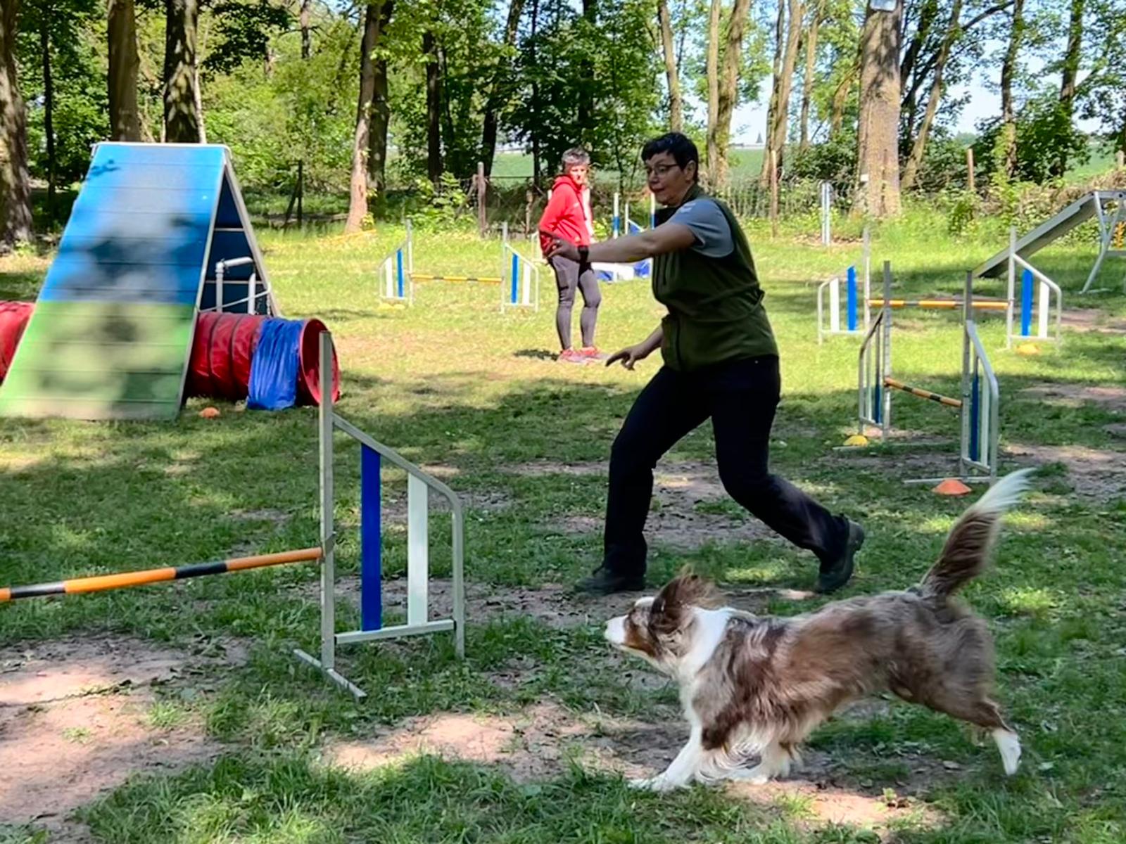 Agility Zusatzbild