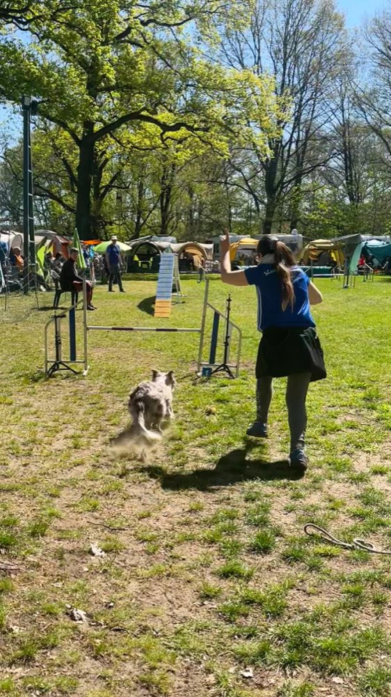 Hopp in den Mai 2026 Bild 15
