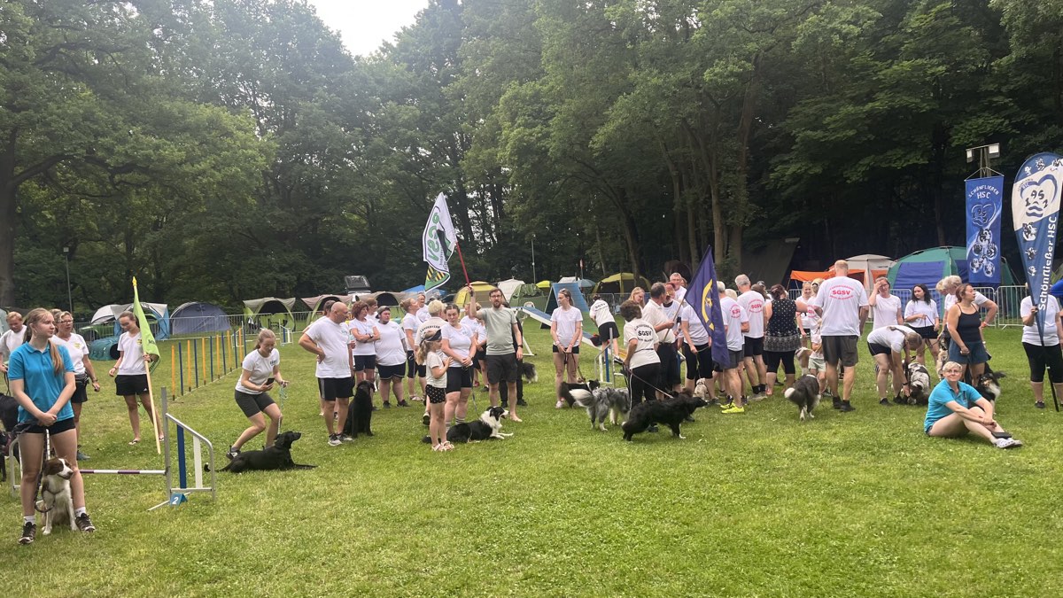 SGSV Meisterschaft Bild 3