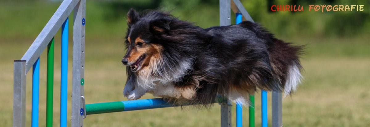 Vereinsgelände des Schönfließer HSC