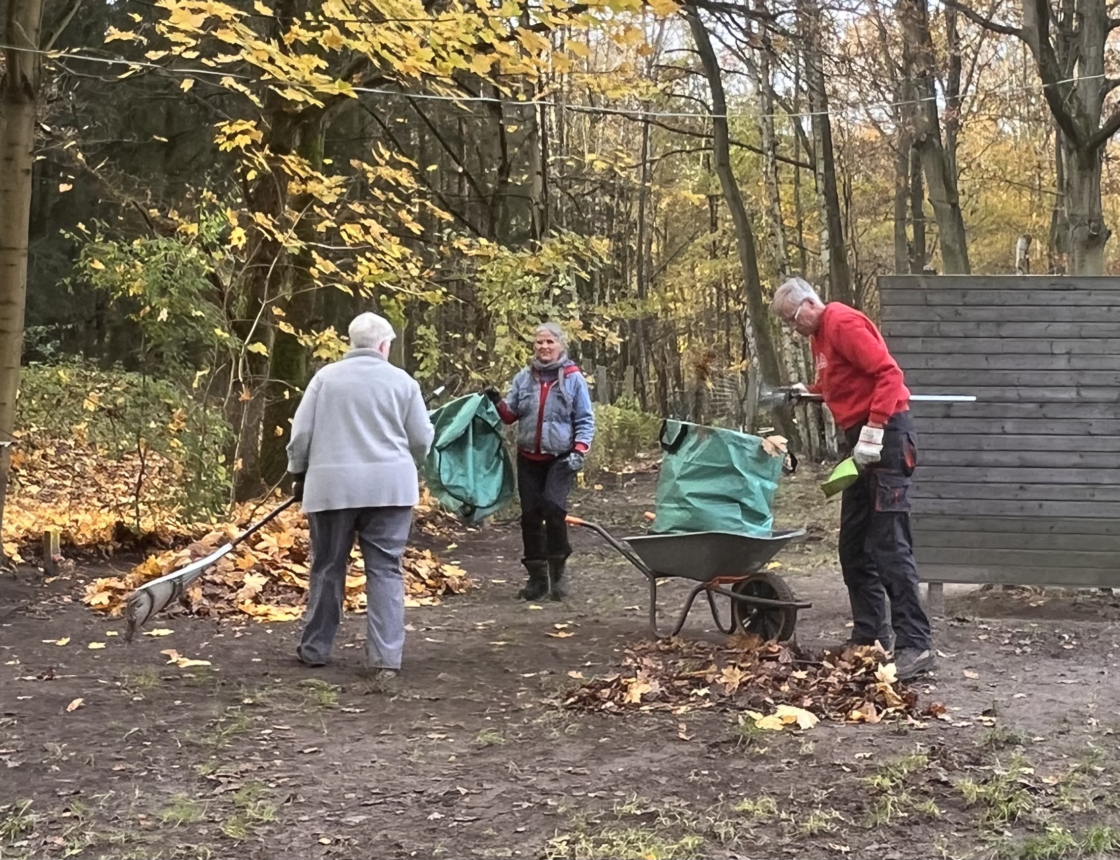 Arbeitseinsätze Bild 29