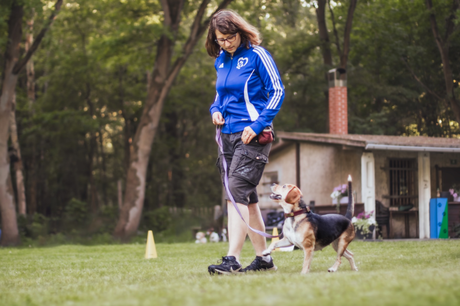 Rally Obedience Training im Schoenfliesser HSC