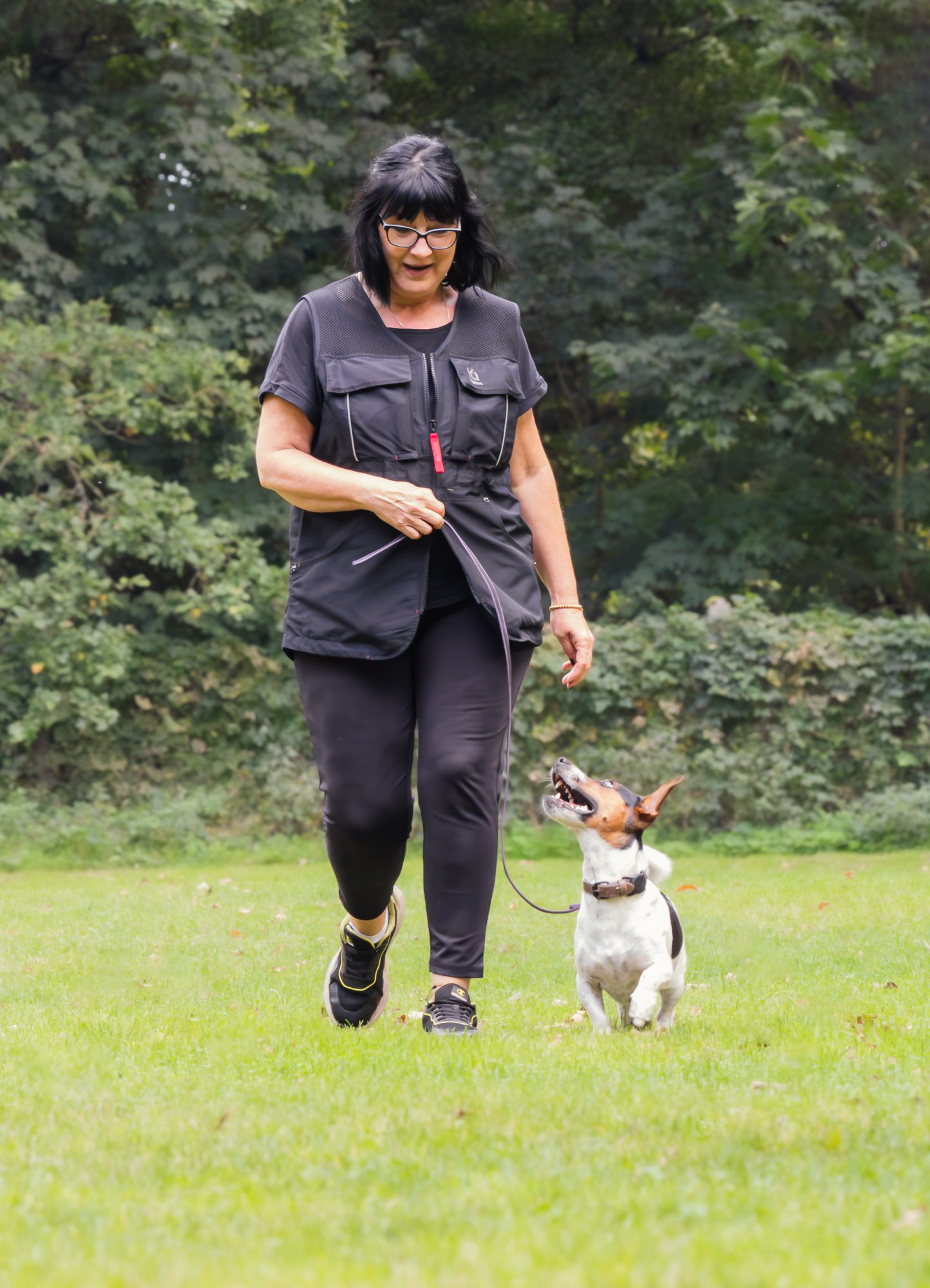 Unterordnung Zusatzbild