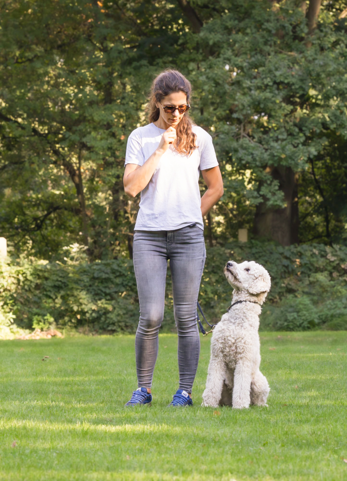 Unterordnung Zusatzbild