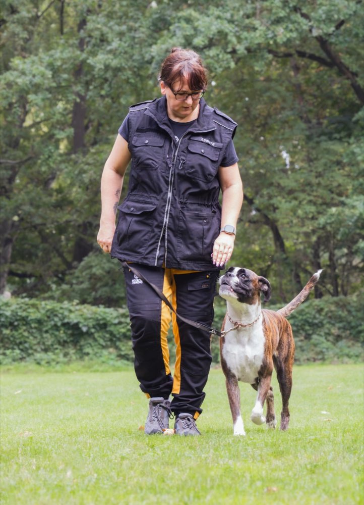 Unterordnung Zusatzbild