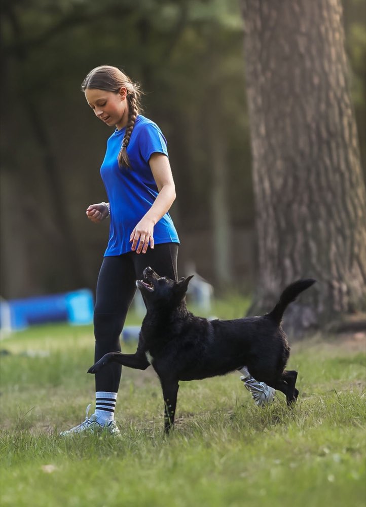 Unterordnung Zusatzbild
