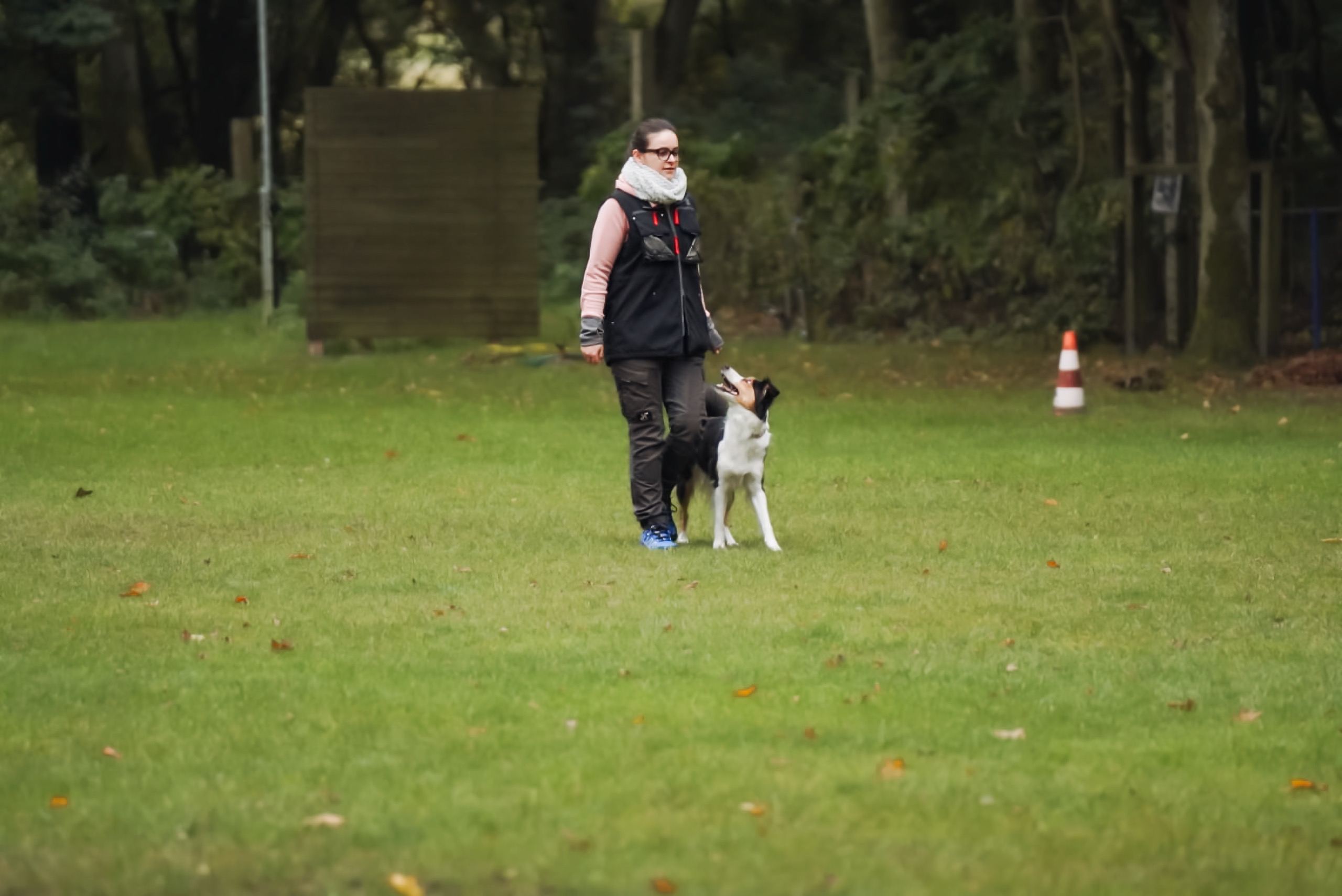 Unterordnung Zusatzbild