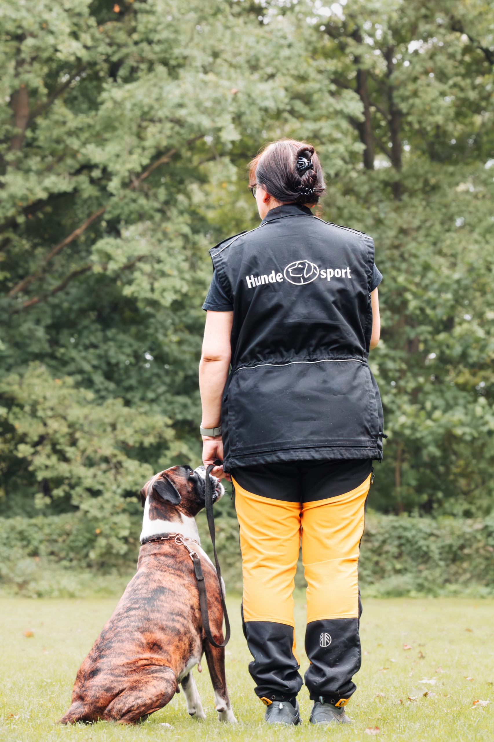 Unterordnung Zusatzbild