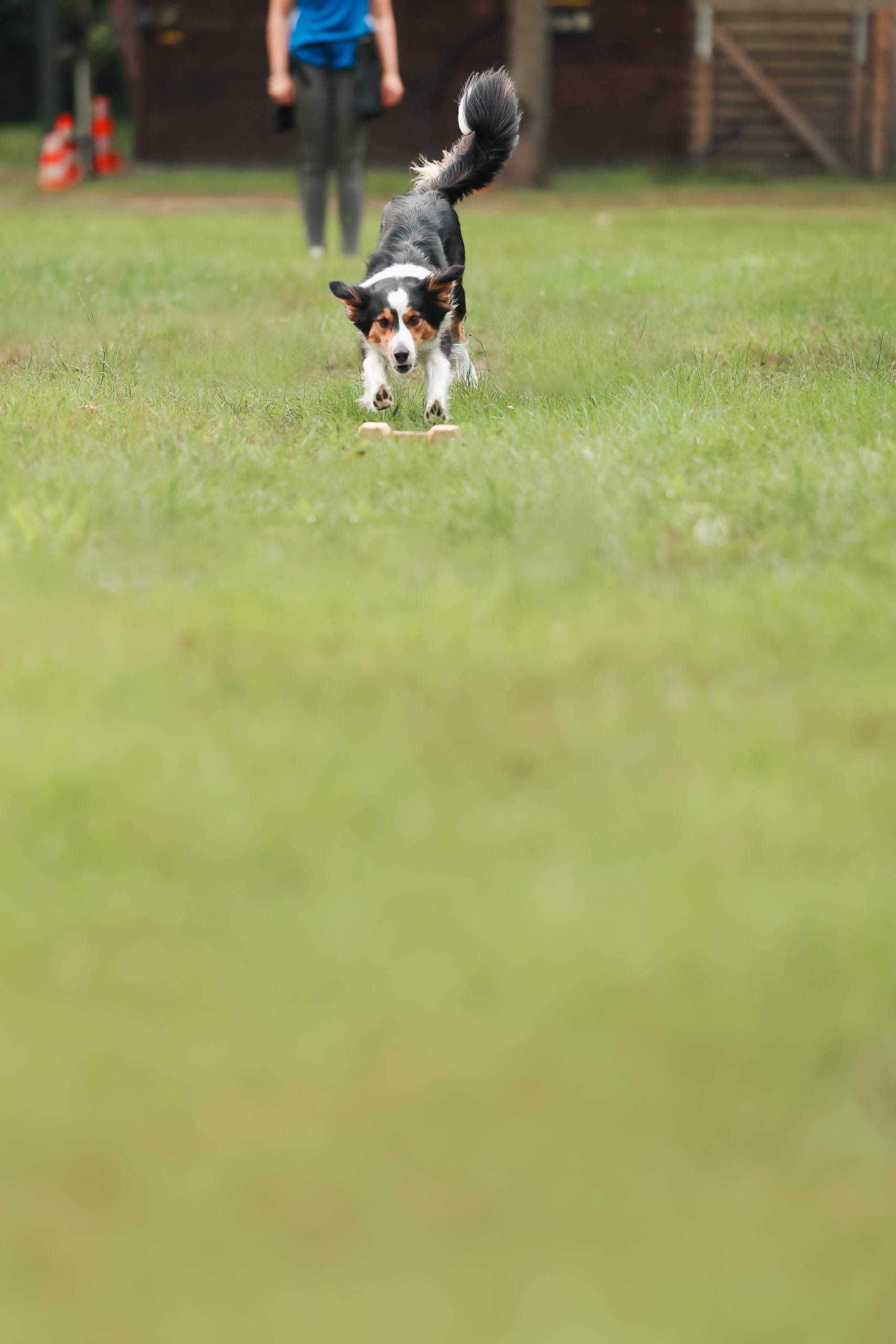 Unterordnung Zusatzbild