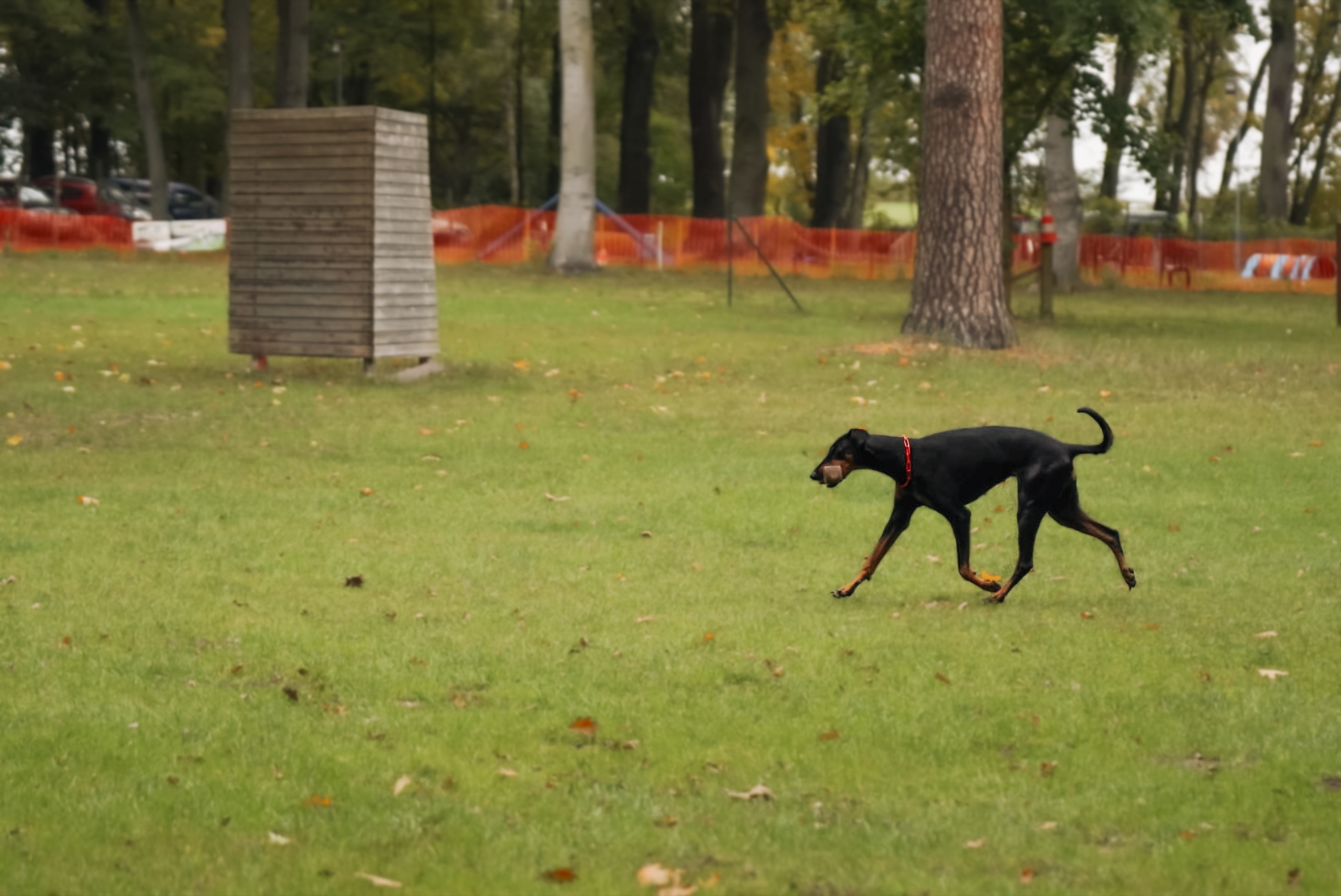 Unterordnung Zusatzbild