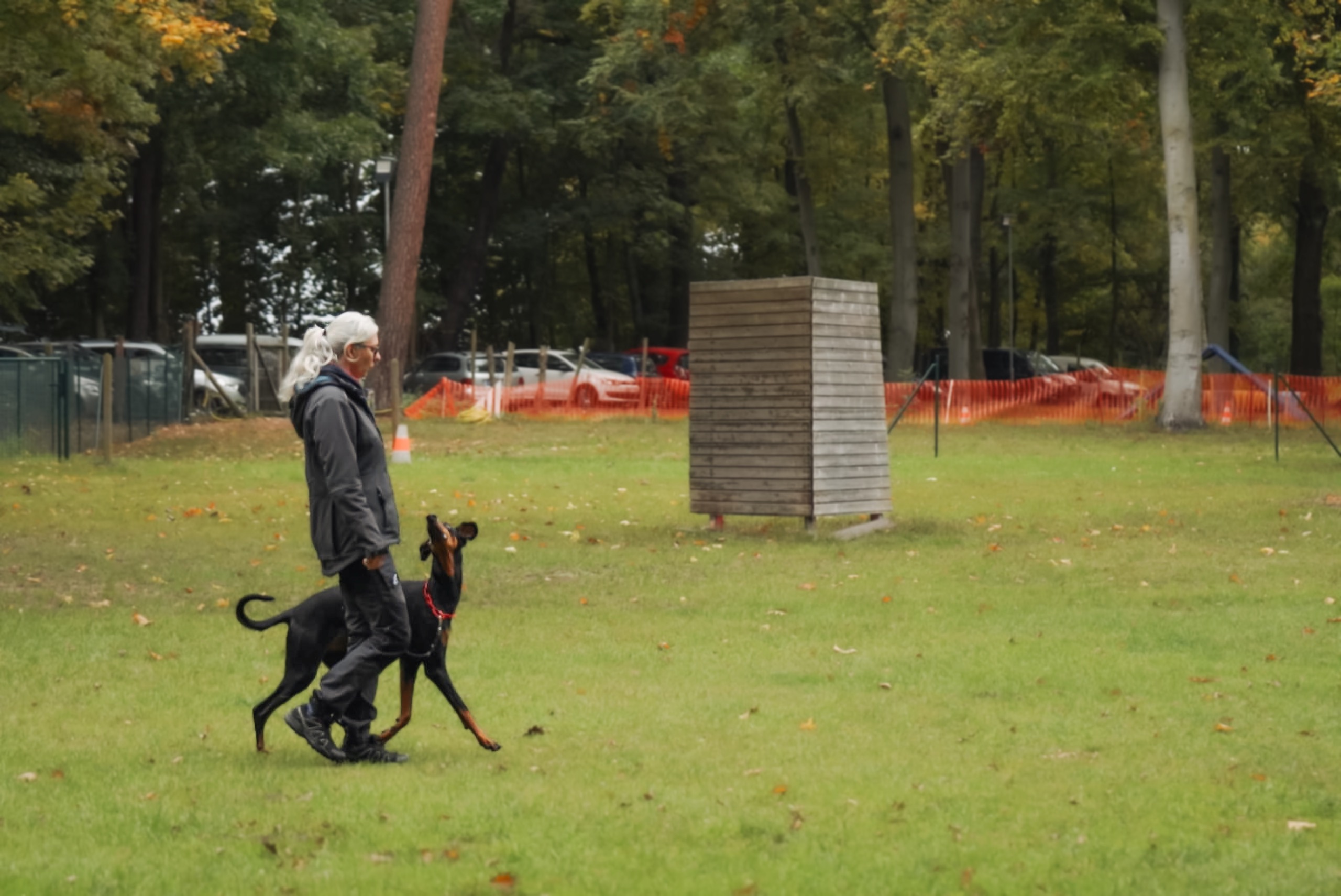 Unterordnung Zusatzbild