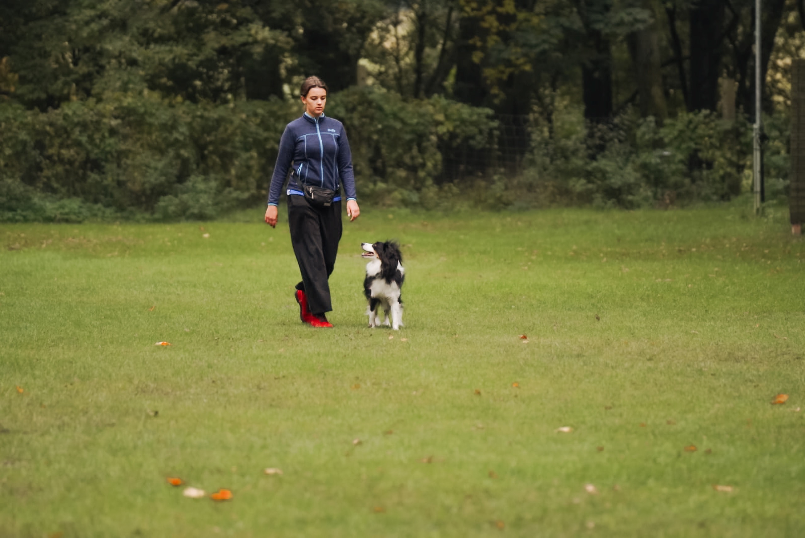 Unterordnung Zusatzbild