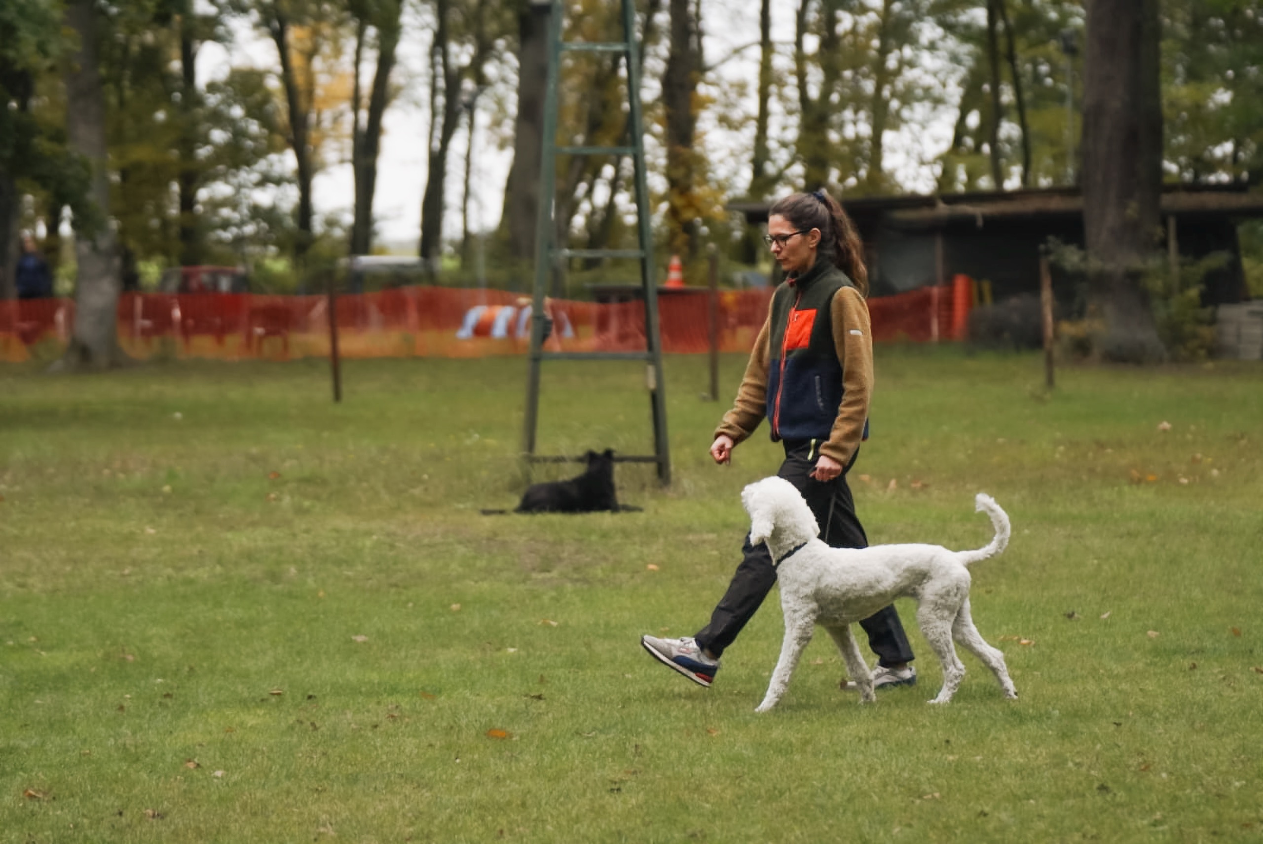 Unterordnung Zusatzbild