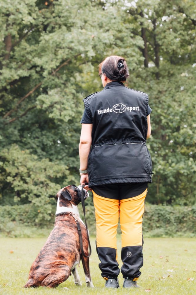 Unterordnung Training 6