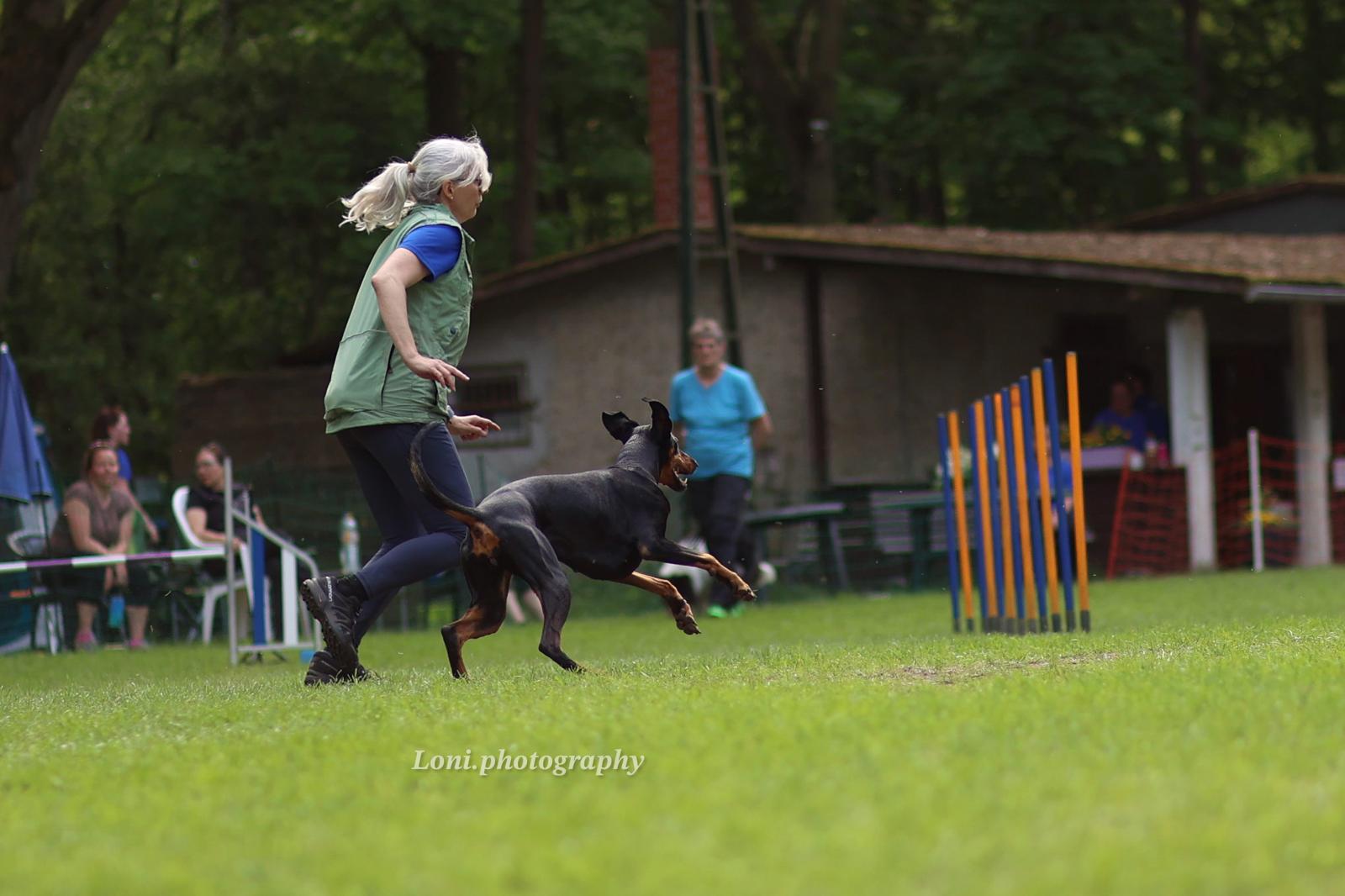 Gemeinsam auf Turnieren Bild 34