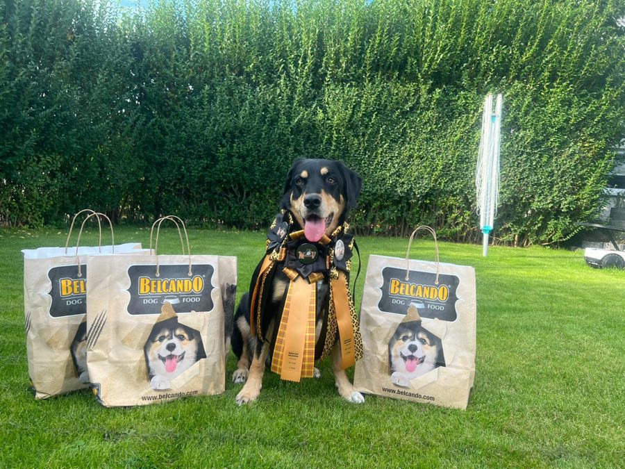 Moment aus dem Vereinsleben bei Turnieren 28