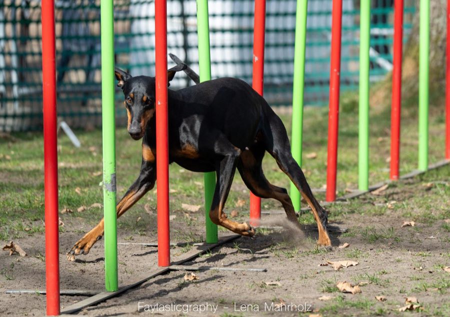Moment aus dem Vereinsleben bei Turnieren 39
