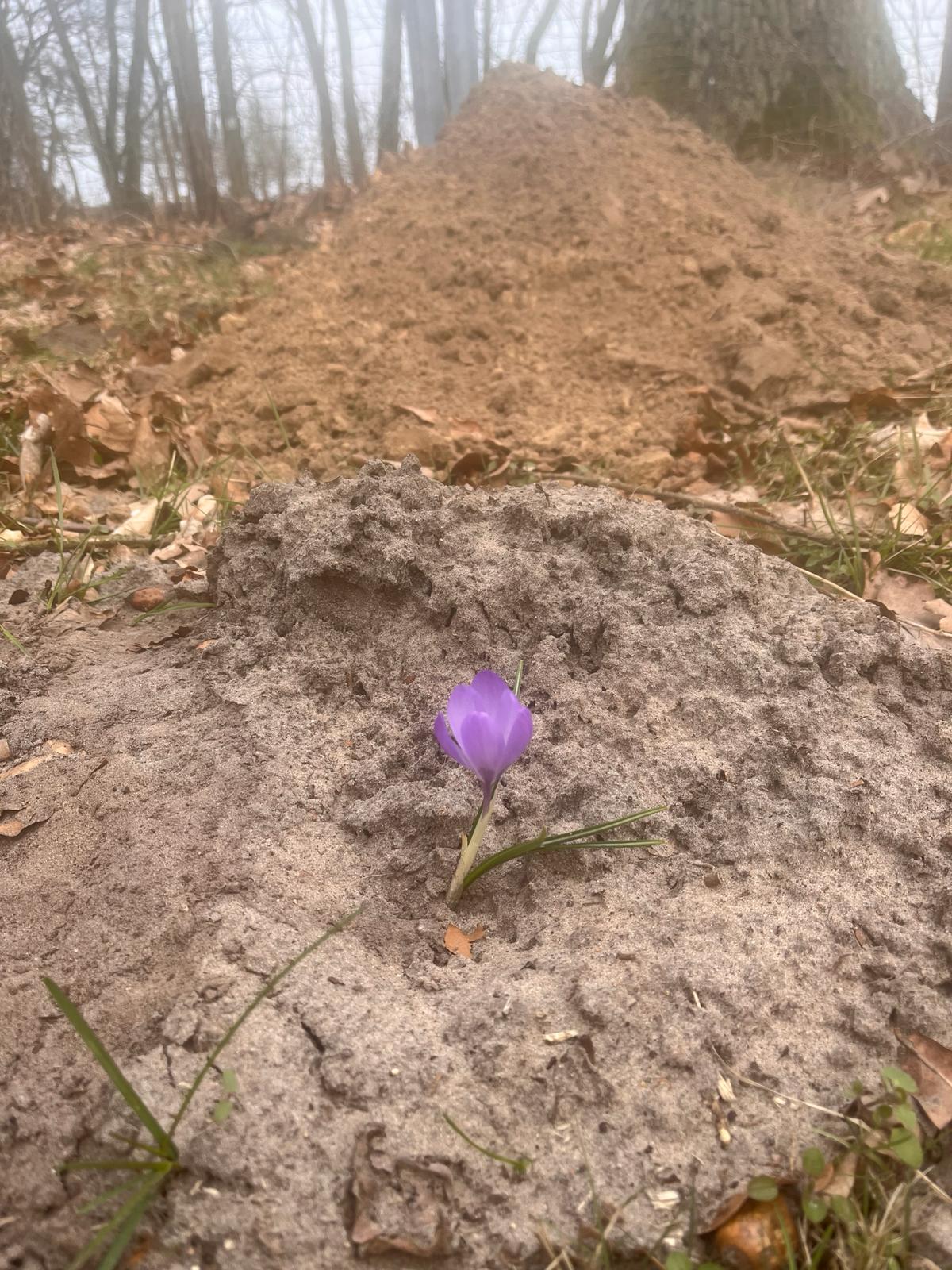 Wo ist denn das verdammte Ding?