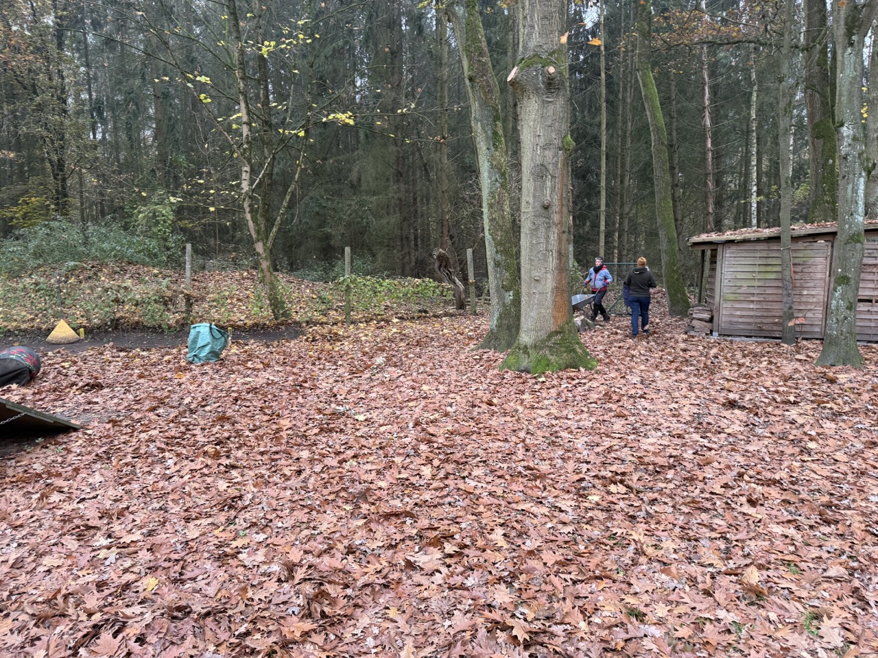 Letzter Arbeitseinsatz 2024 – Die Blätter müssen weg